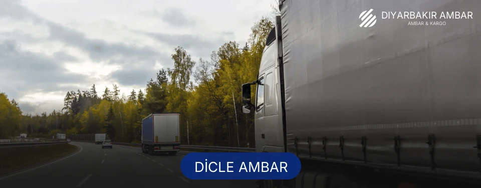 Dicle Ambar