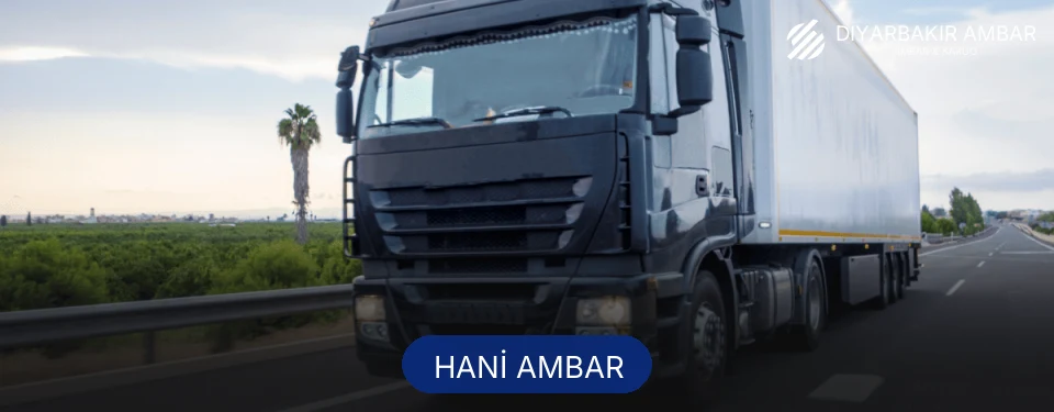 Hani Ambar