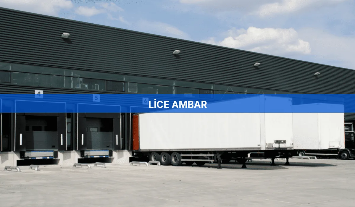 Lice Ambar